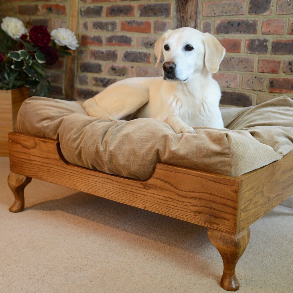 Pet Beds